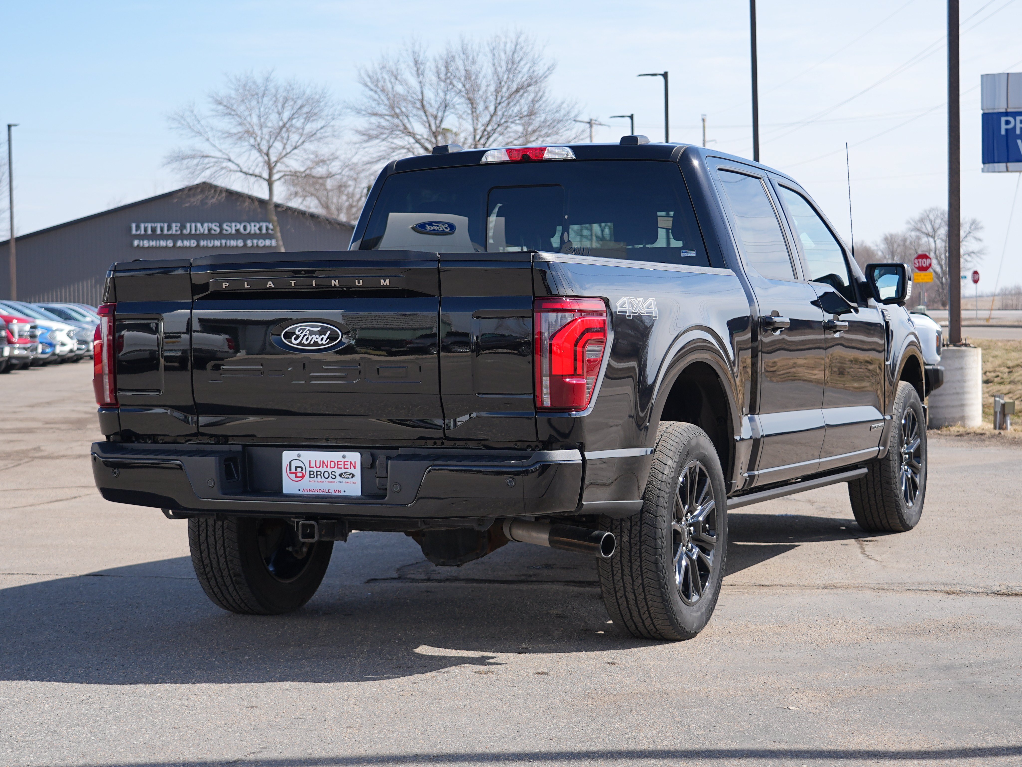 Used 2025 Ford F150 Platinum AWD/4WD image 3