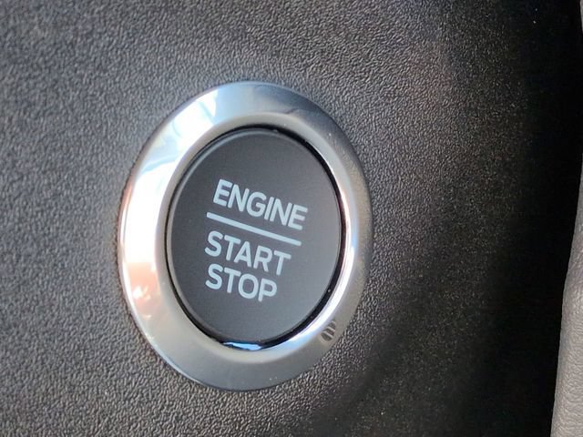 New 2026 Ford Transit 250 Low Roof w/ Load Area Protection Package RWD image 27