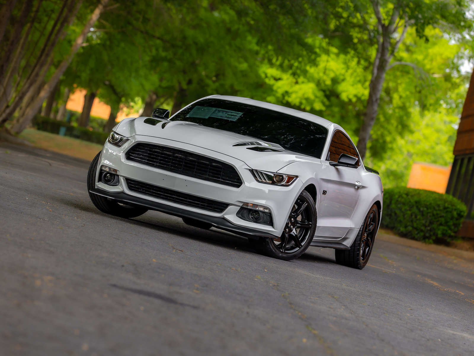 Used 2017 Ford Mustang GT Premium w/ Equipment Group 401A RWD image 22
