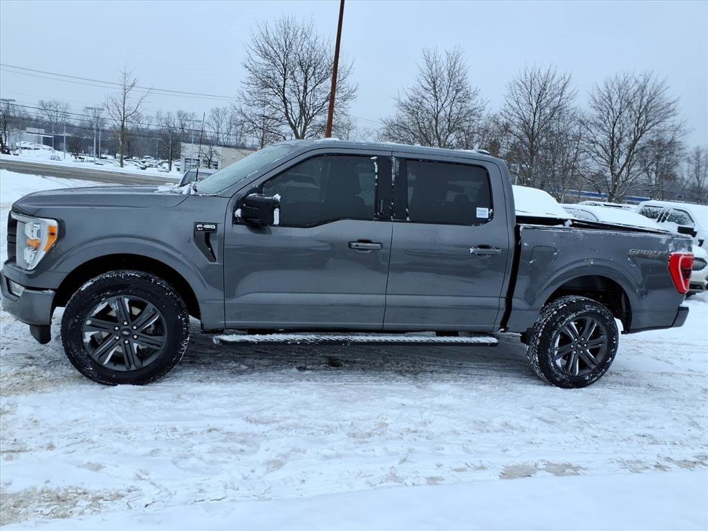 Used 2023 Ford F150 XLT w/ Equipment Group 302A High image 2