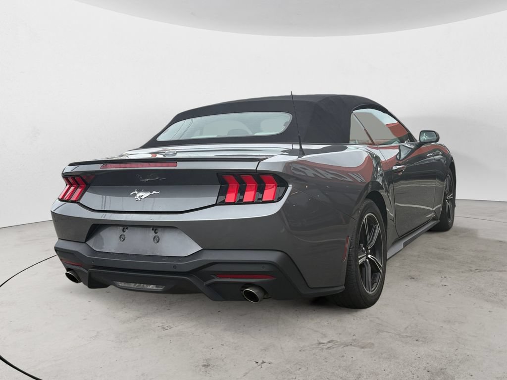Used 2024 Ford Mustang Premium RWD image 3
