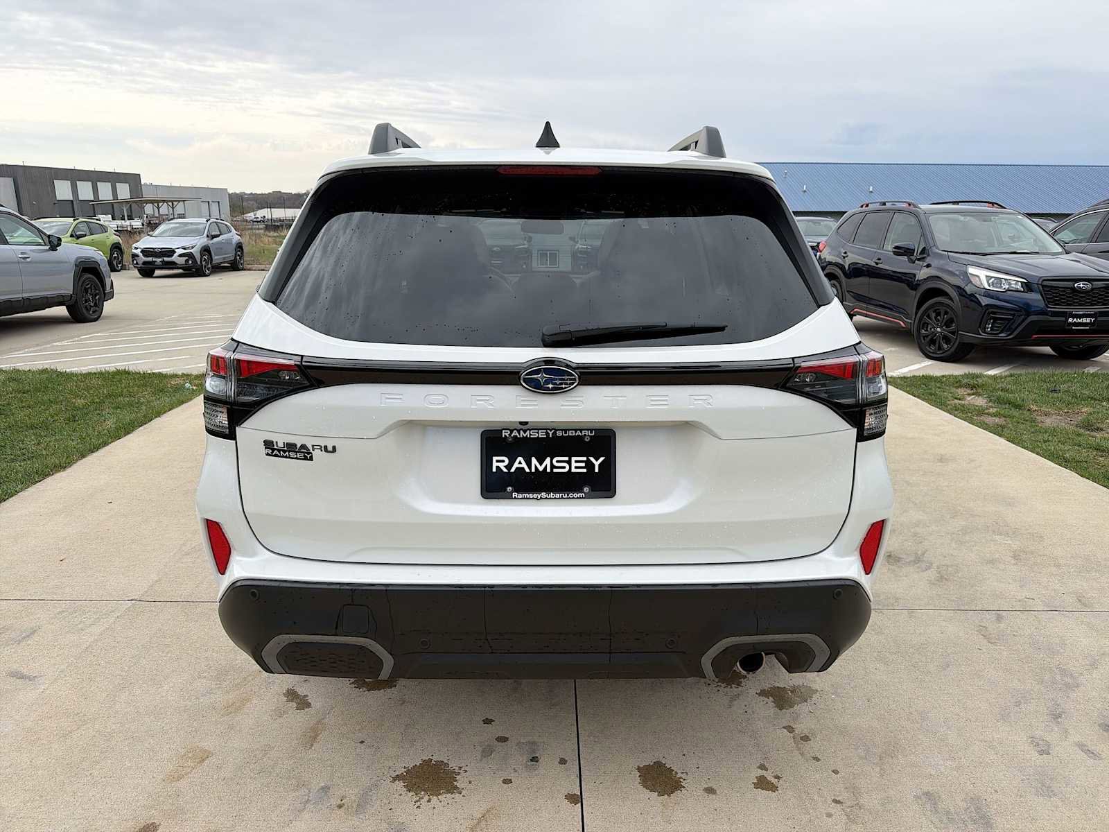 Certified 2025 Subaru Forester Limited image 5