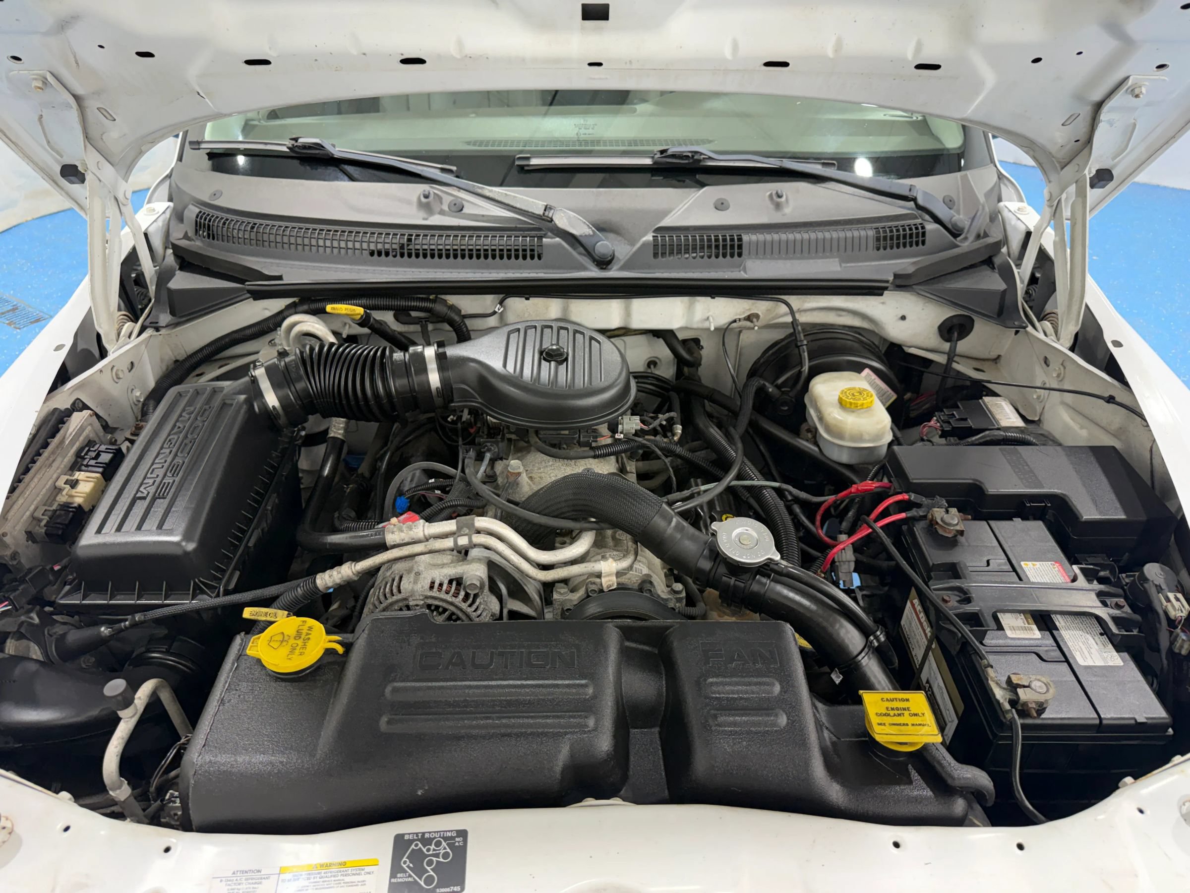 Used 2003 Dodge Dakota R/T RWD image 38