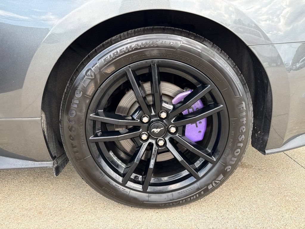 Used 2019 Ford Mustang GT Premium RWD image 55