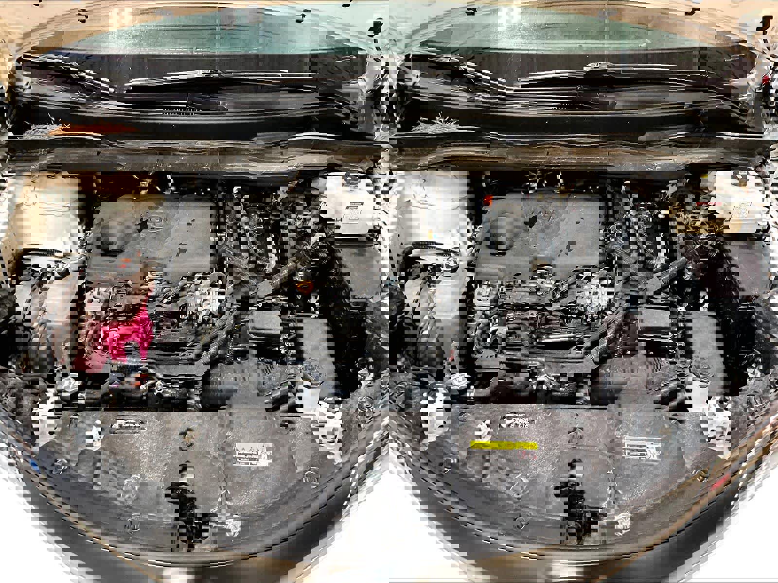 Used 2024 Toyota Sienna LE image 31