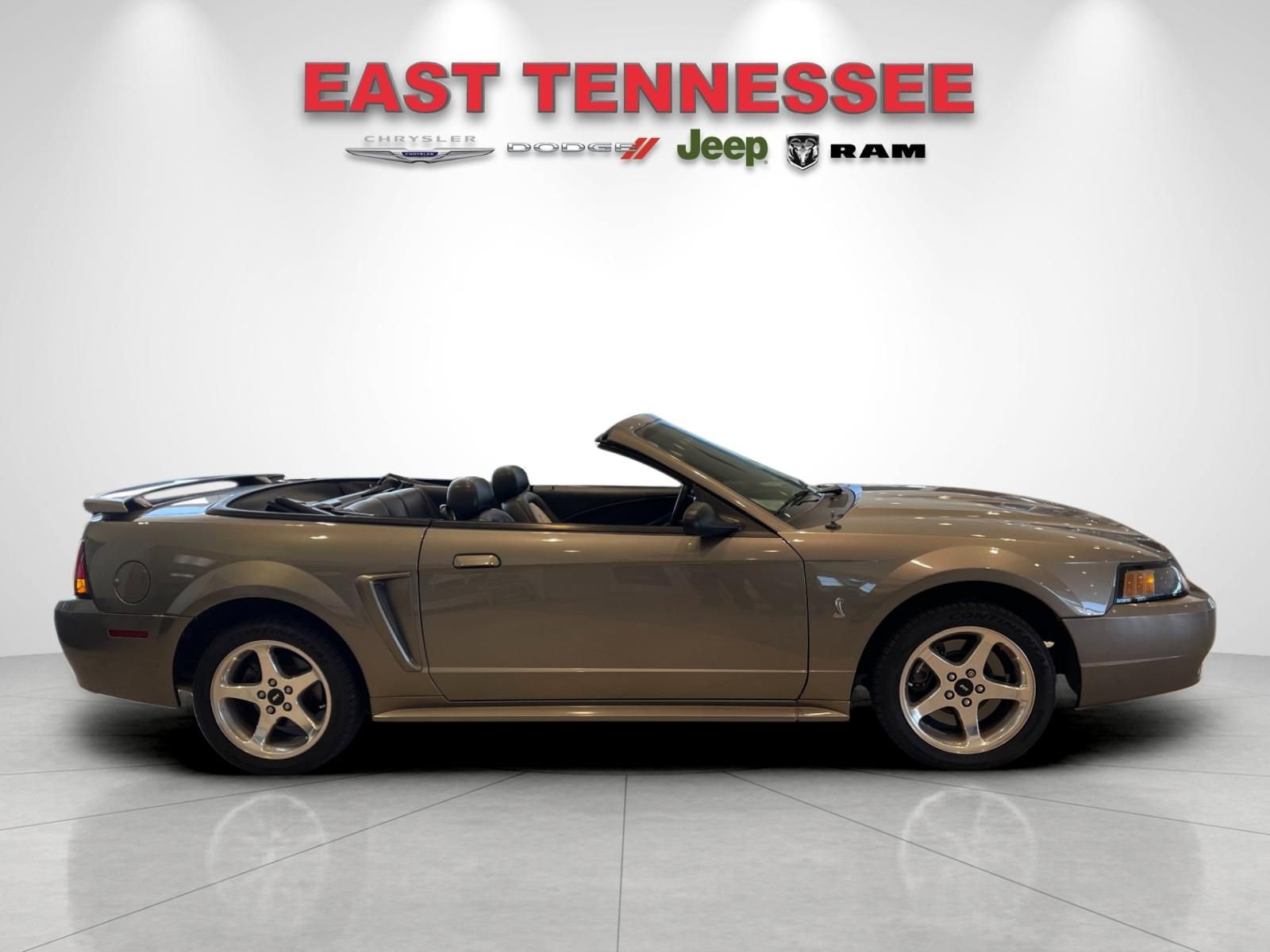 Used 2001 Ford Mustang Cobra RWD image 6