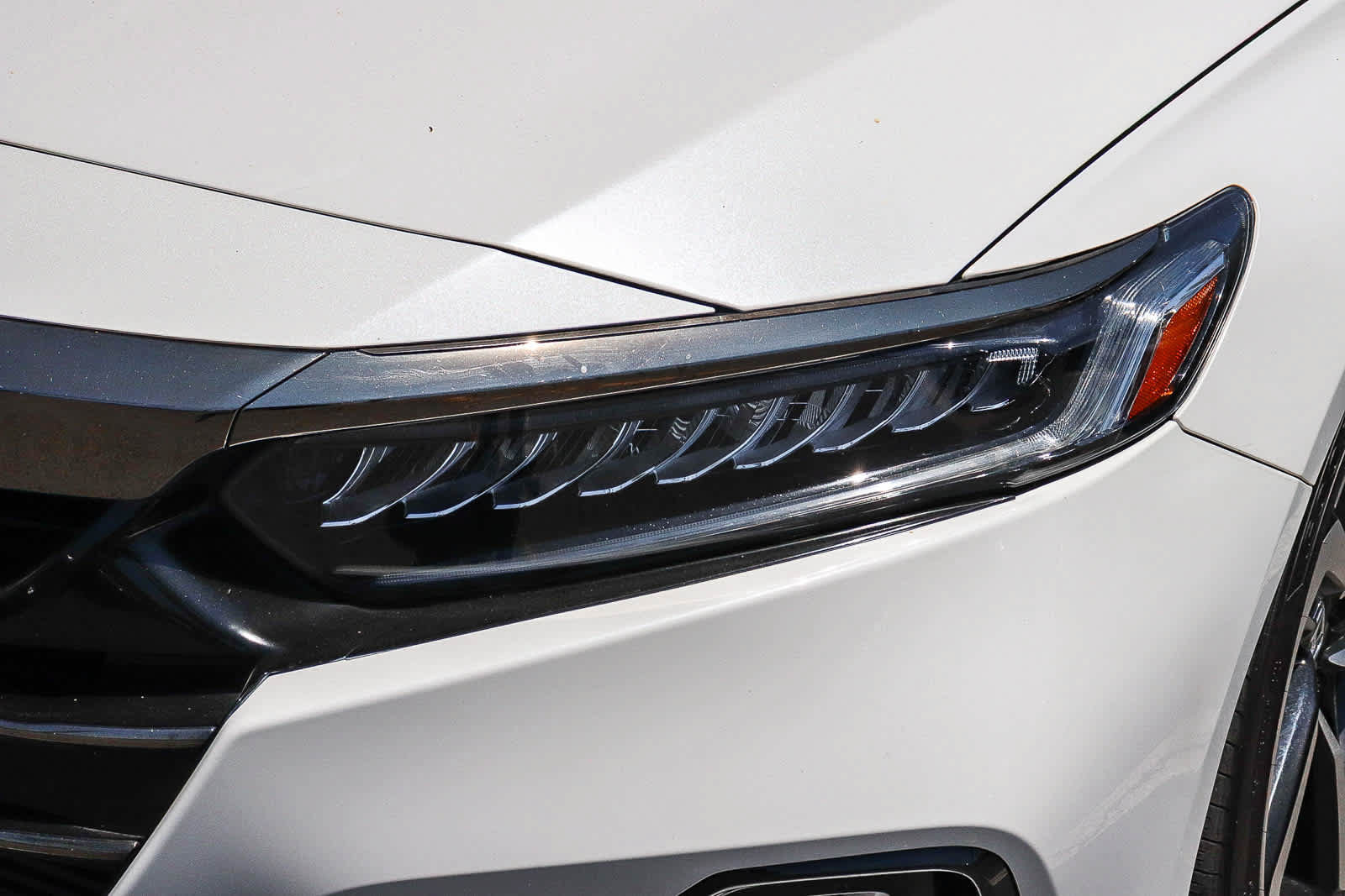 Used 2021 Honda Accord Sport Special Edition image 2
