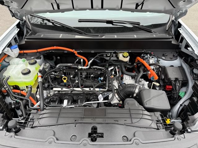 New 2026 Ford Maverick XLT AWD/4WD image 12