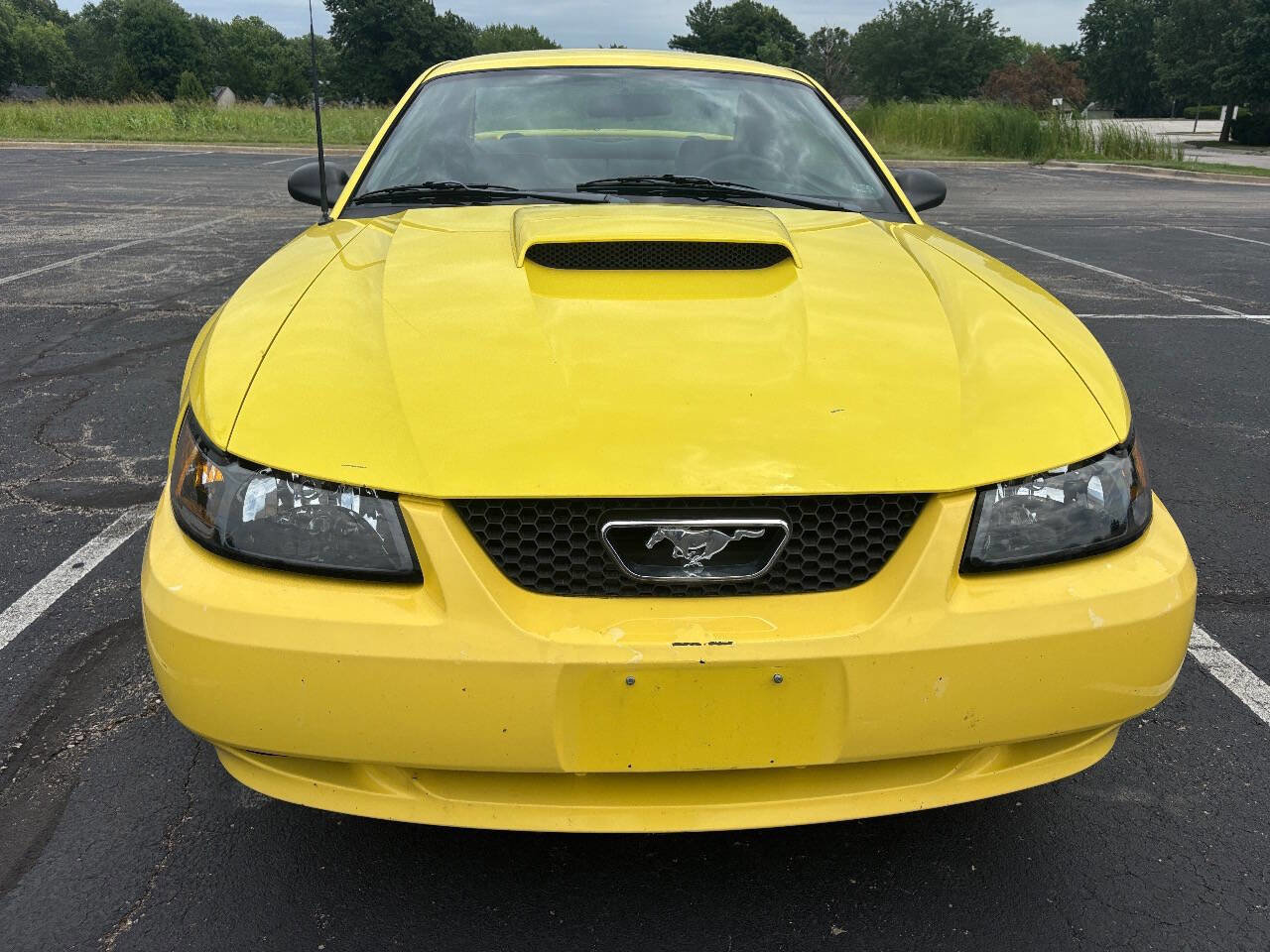 Used 2001 Ford Mustang GT image 3