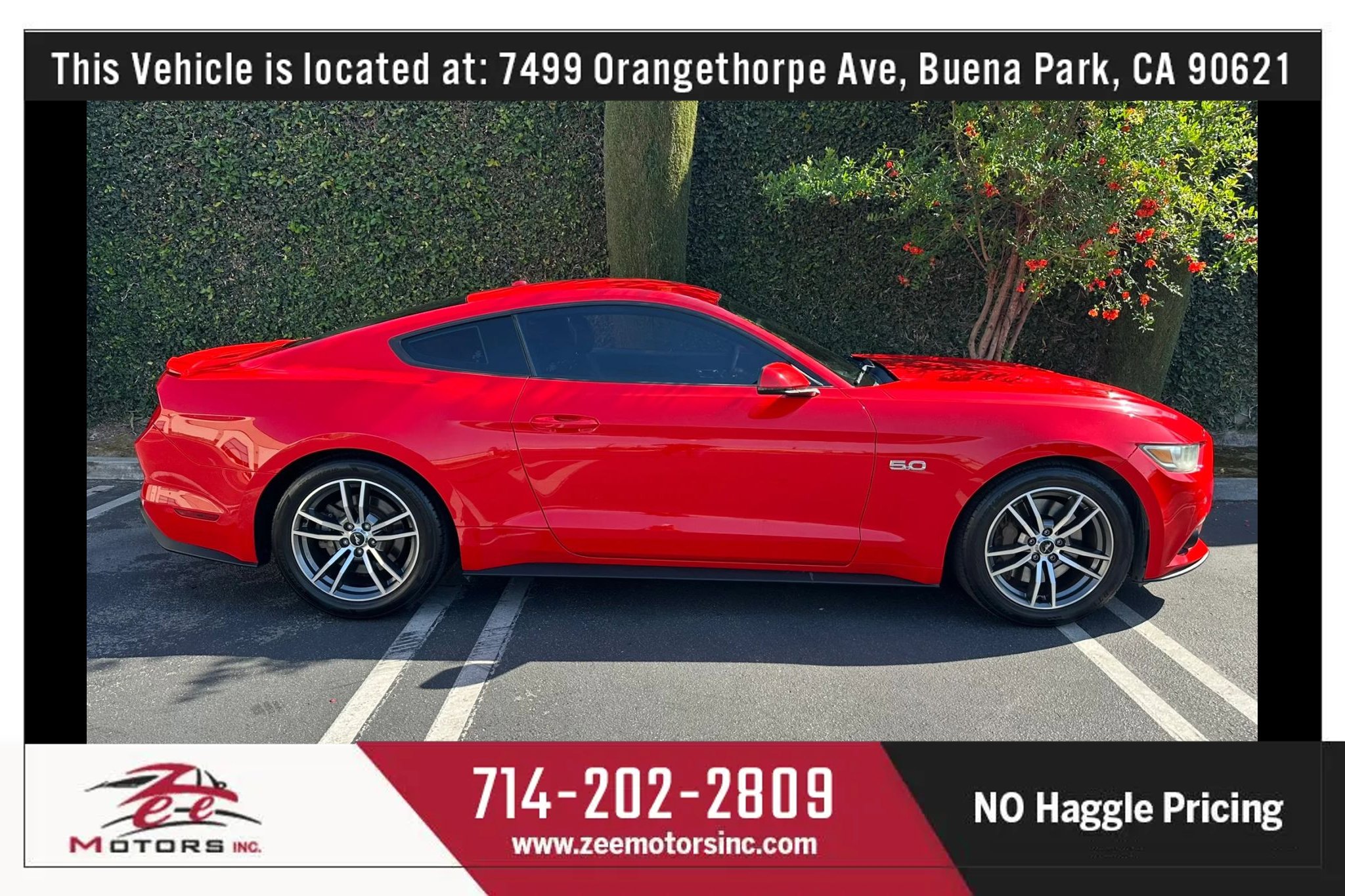 Used 2017 Ford Mustang GT Premium RWD image 5