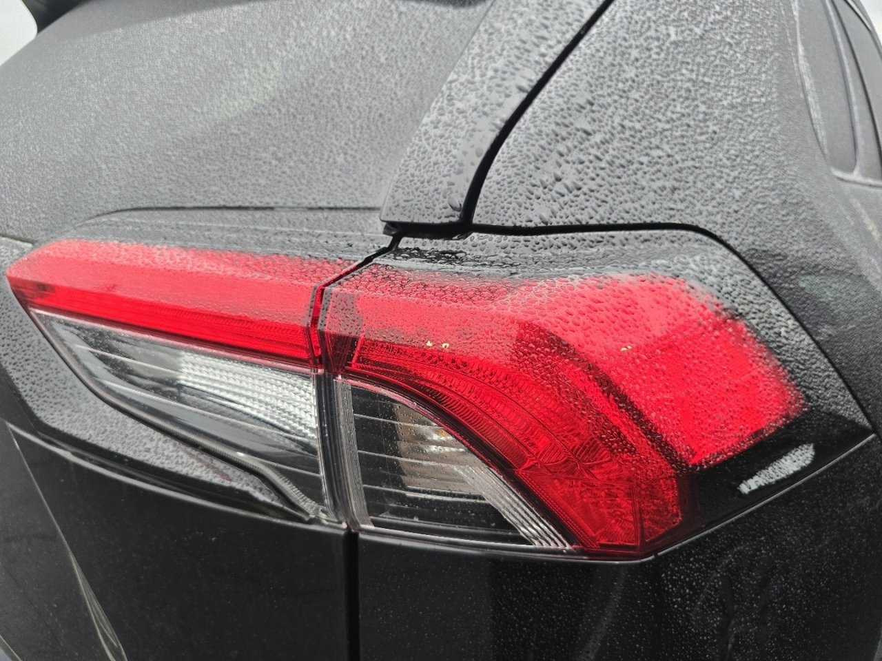 Certified 2024 Toyota RAV4 LE image 12