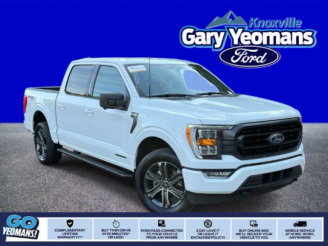 Used 2023 Ford F150 XLT w/ Equipment Group 302A High