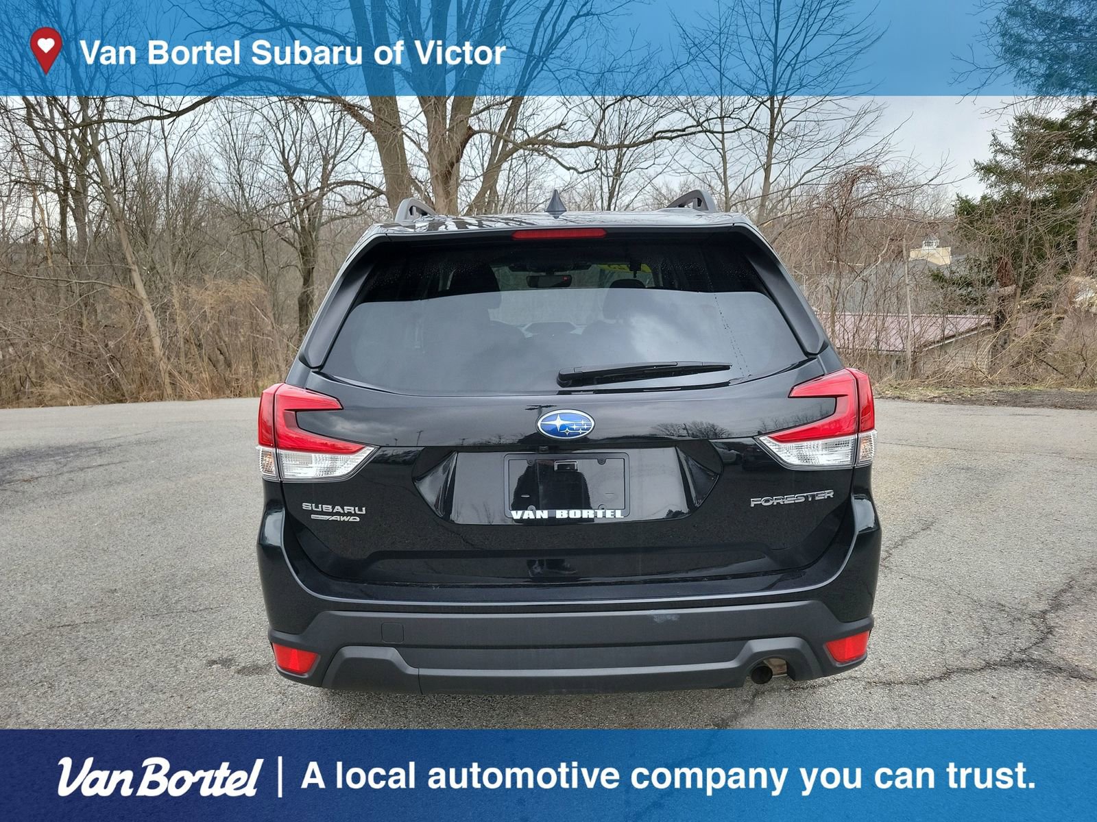 Certified 2023 Subaru Forester Premium image 4