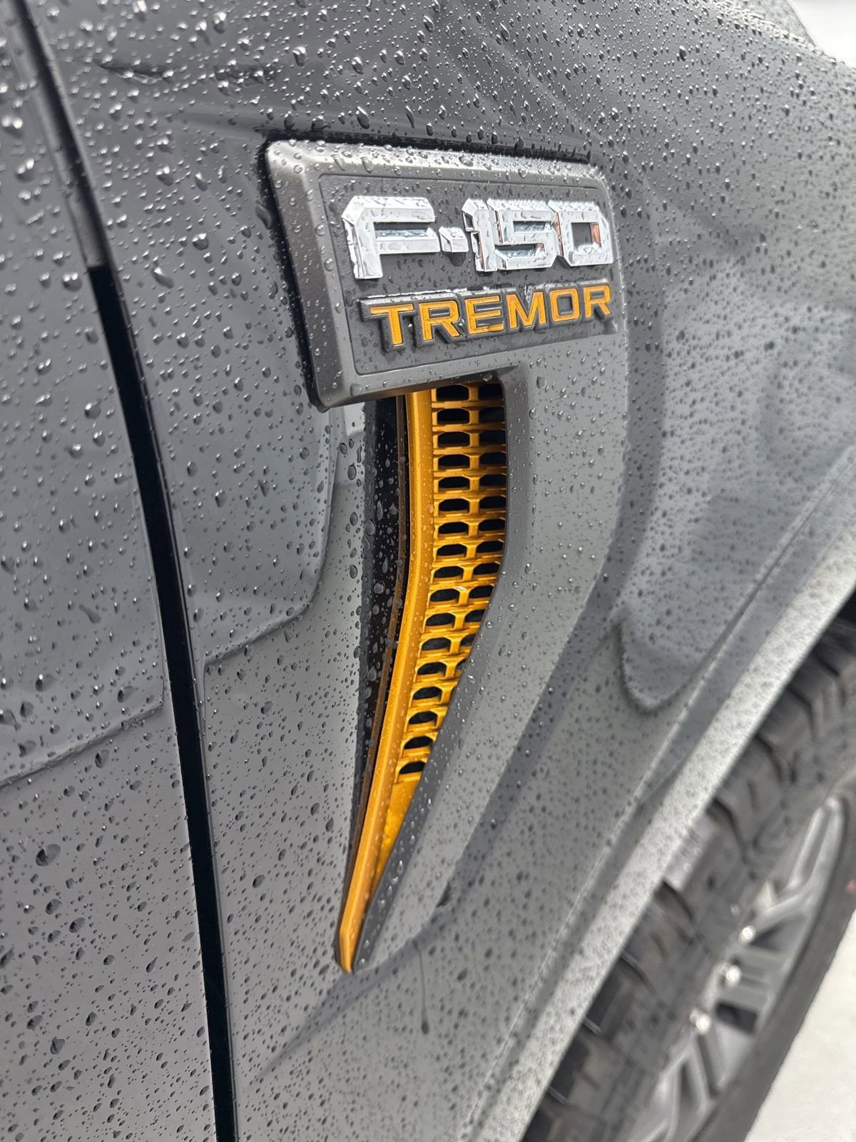 New 2025 Ford F150 Tremor image 55