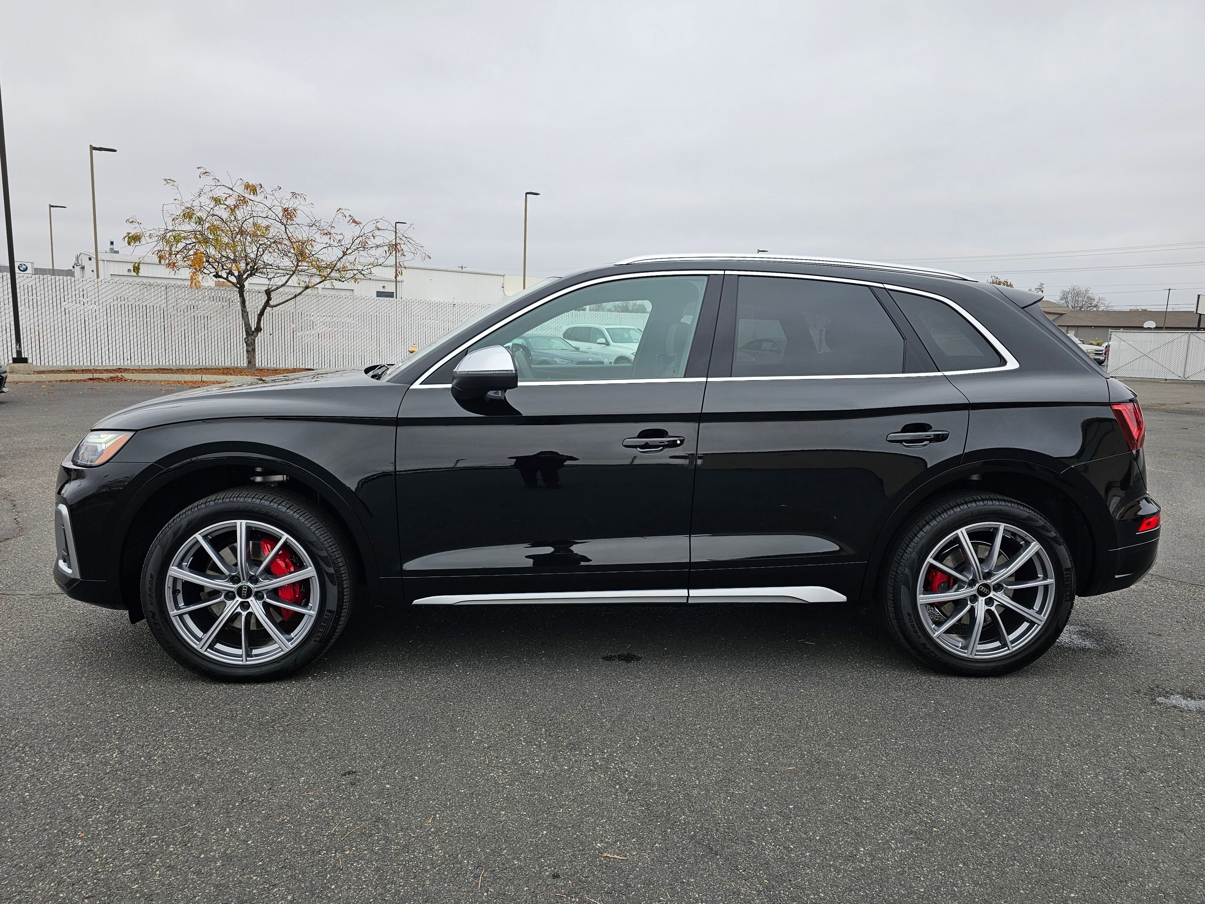 Certified 2025 Audi SQ5 Premium Plus w/ Premium Plus Package image 4