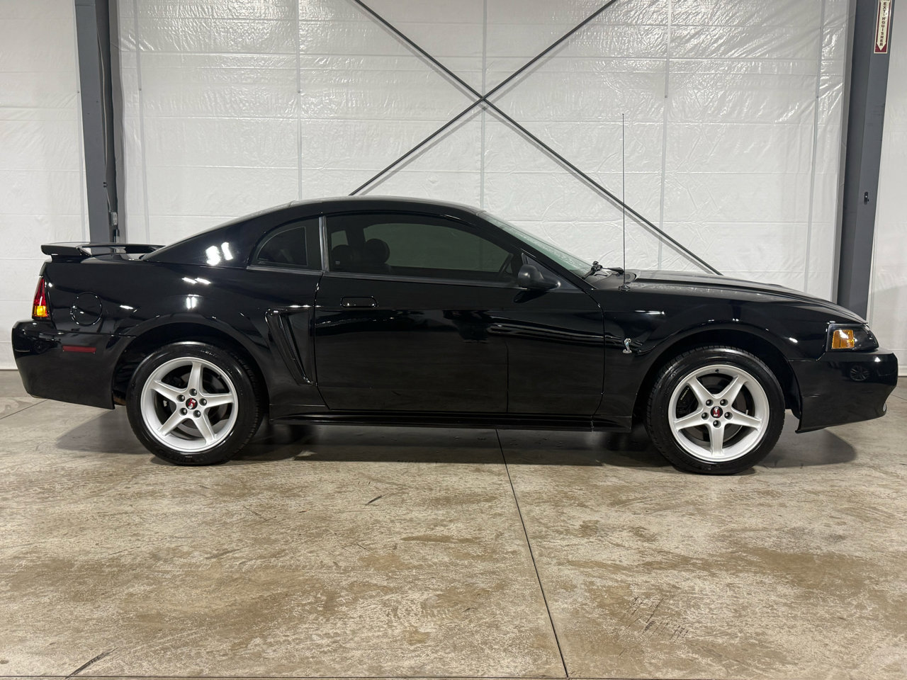 Used 2001 Ford Mustang Cobra image 6