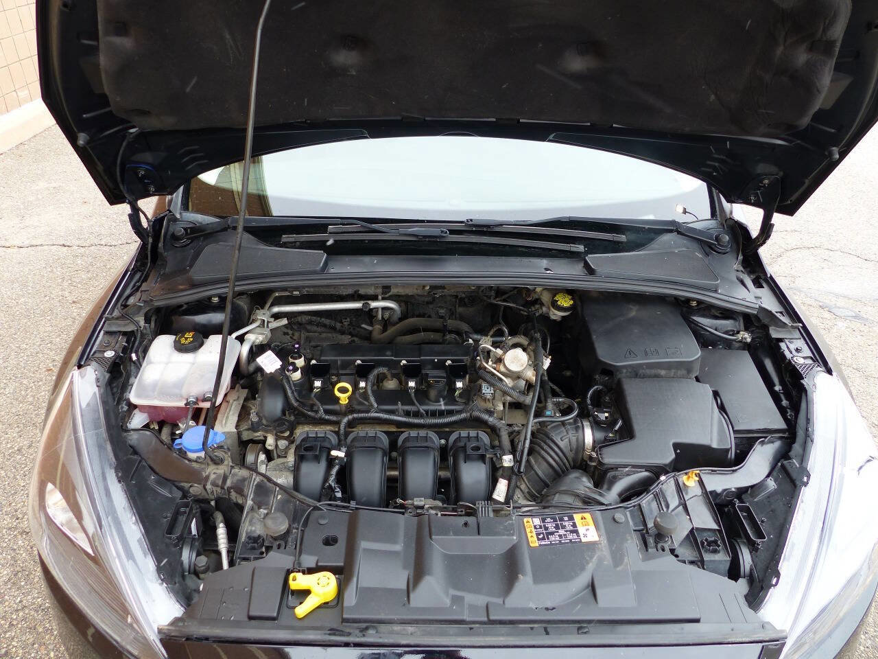 Used 2016 Ford Focus SE w/ Equipment Group 201A FWD image 14