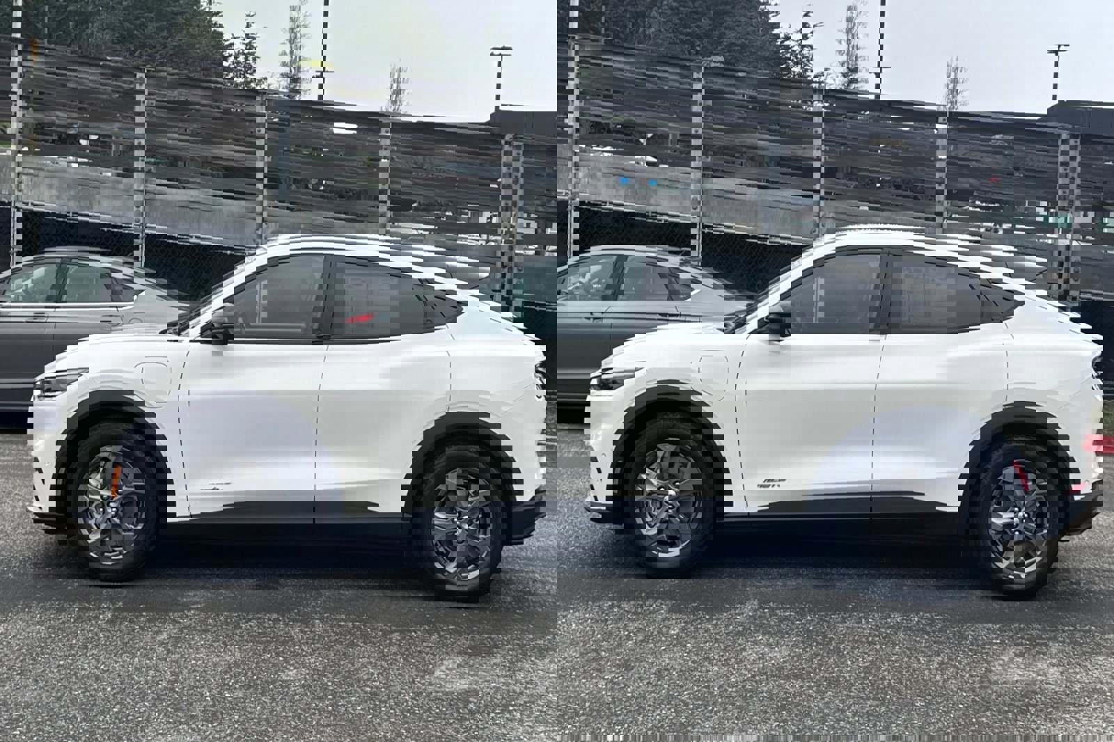 Certified 2023 Ford Mustang Mach-E Select image 7