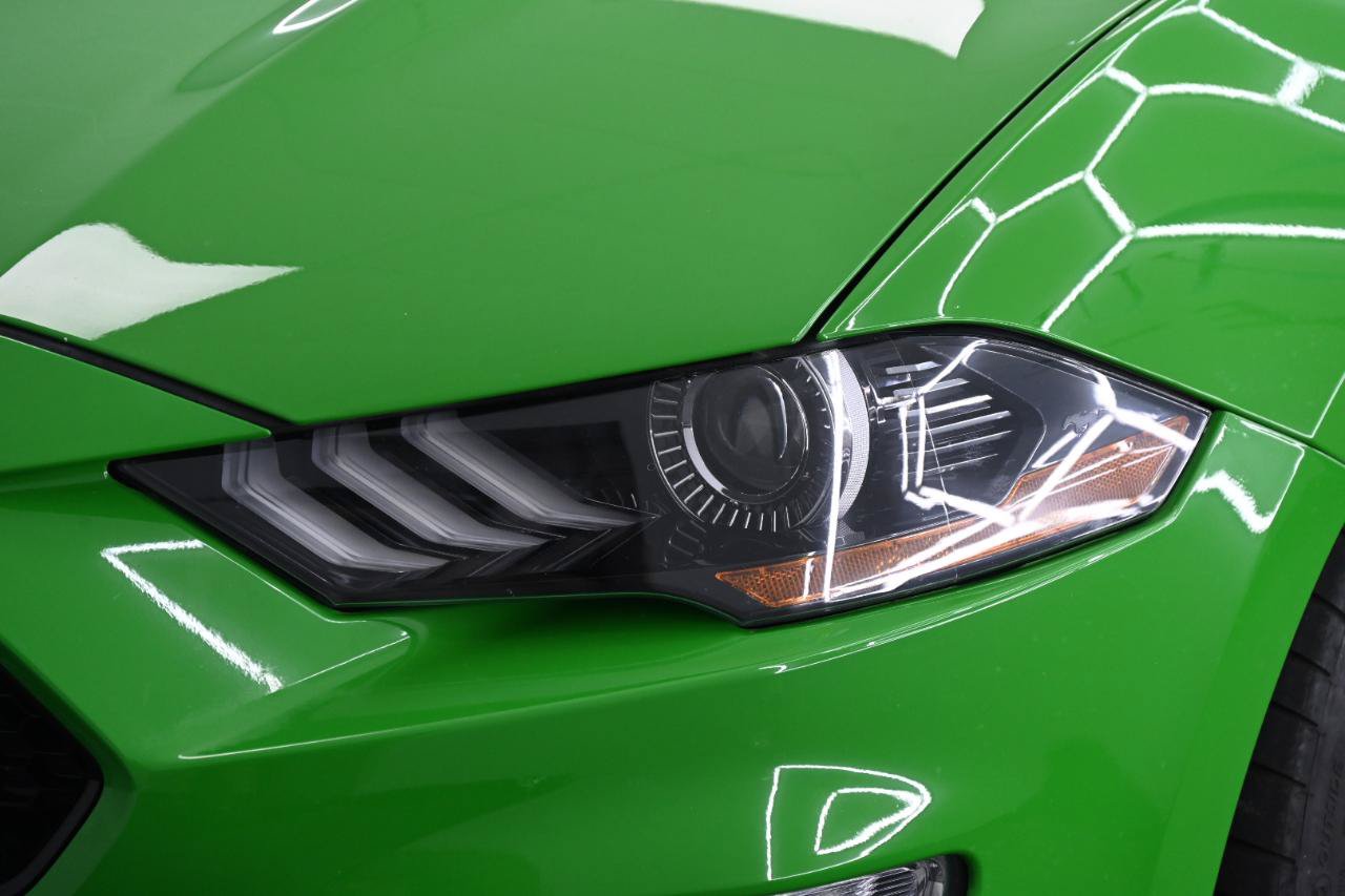 Used 2019 Ford Mustang GT Premium w/ GT Performance Package RWD image 8