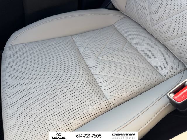 New 2025 Lexus NX 300h 350h Luxury image 31