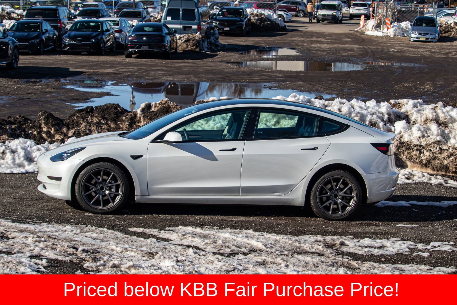 Used 2023 Tesla Model 3 Standard Range image 4