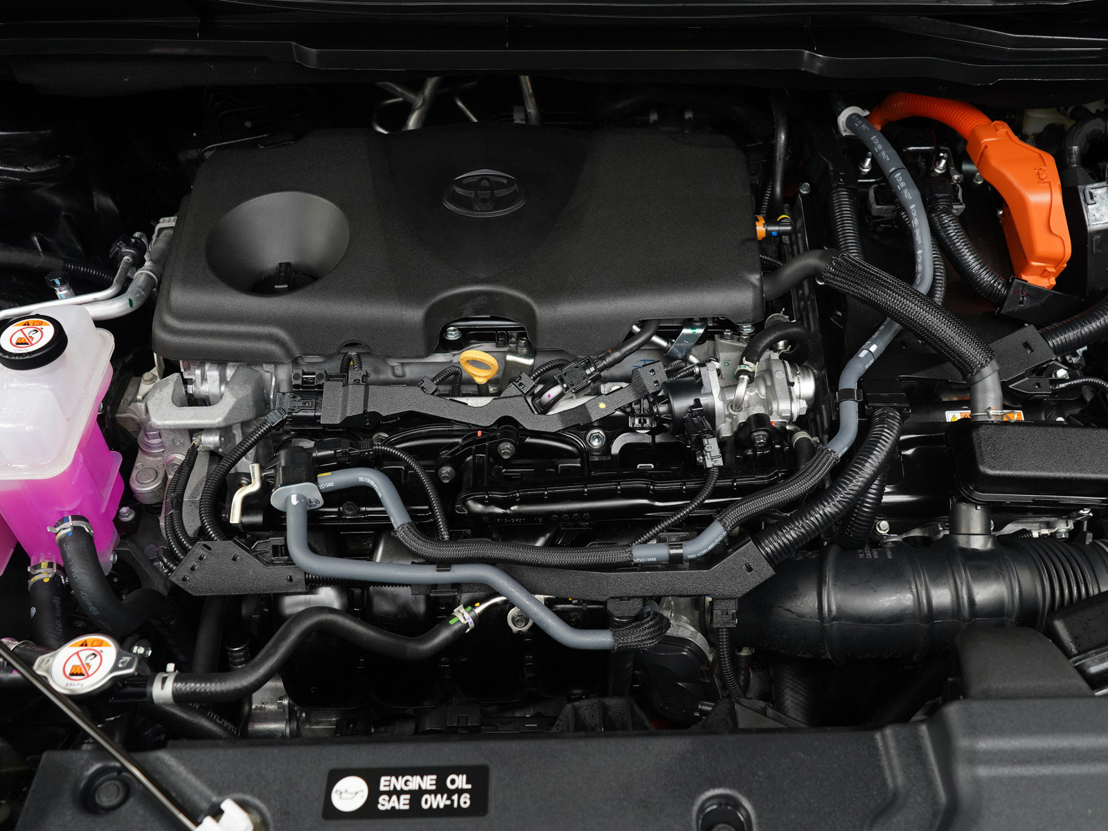 Certified 2025 Toyota Sienna XLE Woodland Edition AWD/4WD image 31