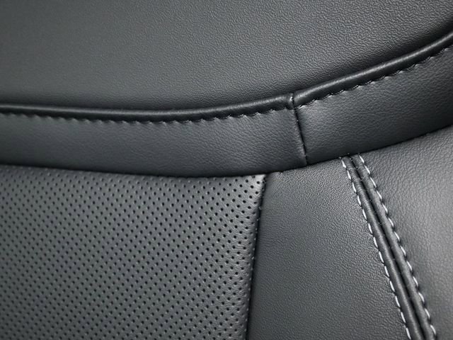 New 2026 Ford Expedition Platinum w/ Stealth Appearance Package image 15