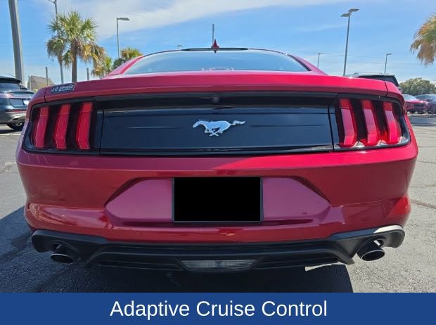 Used 2021 Ford Mustang Coupe w/ Equipment Group 101A image 8
