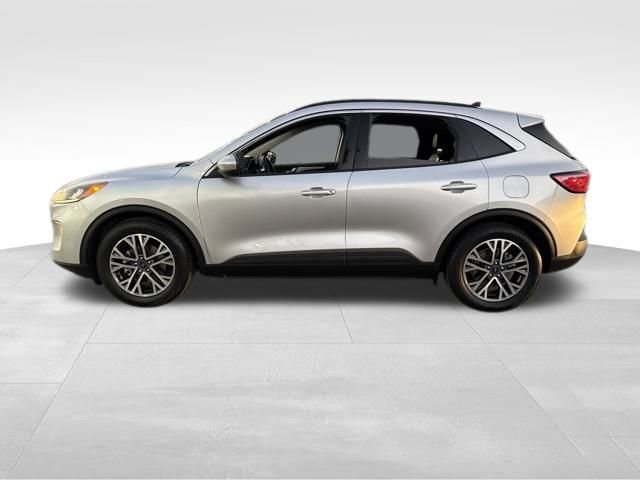 Used 2020 Ford Escape SEL image 2