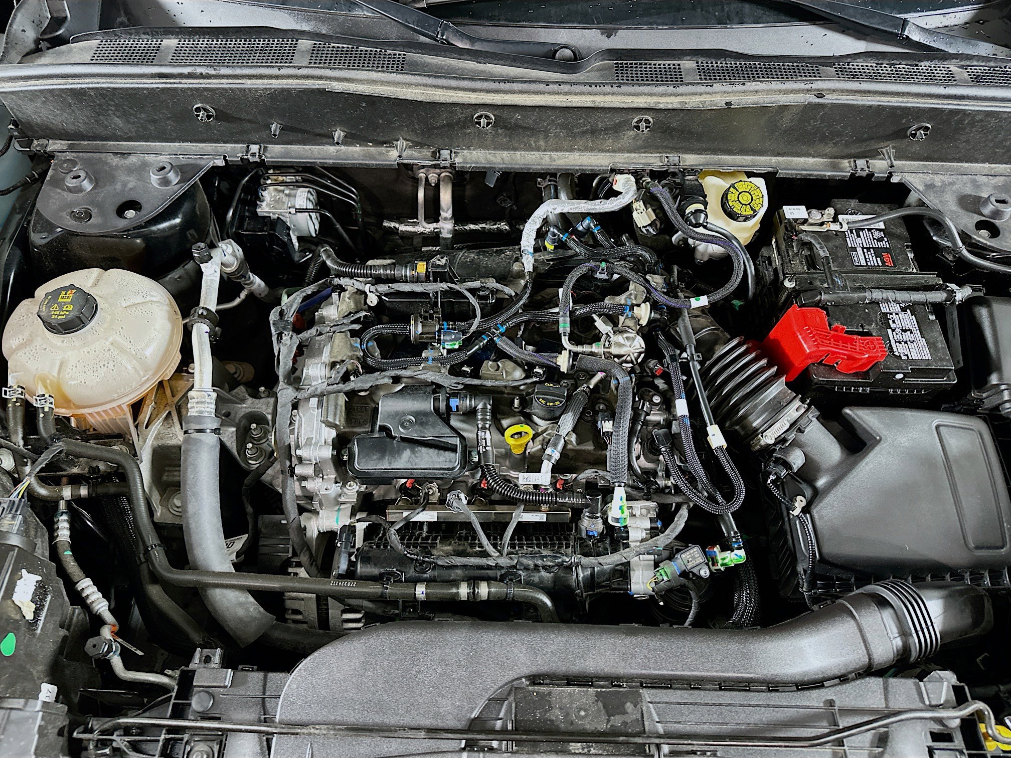 Used 2024 Ford Bronco Sport Big Bend image 32