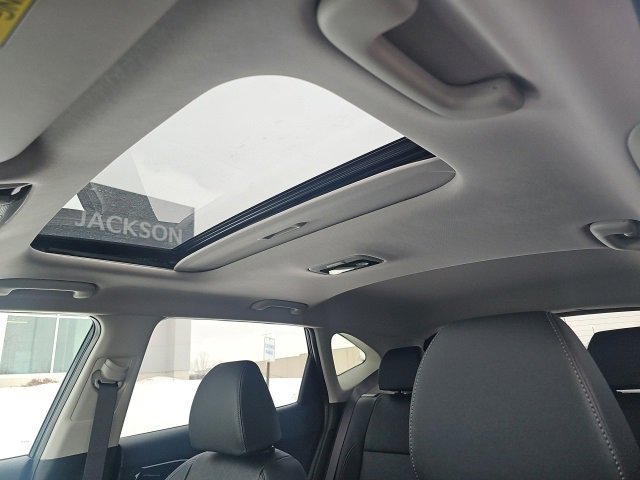 New 2026 Kia Seltos EX w/ EX Sunroof Package image 20