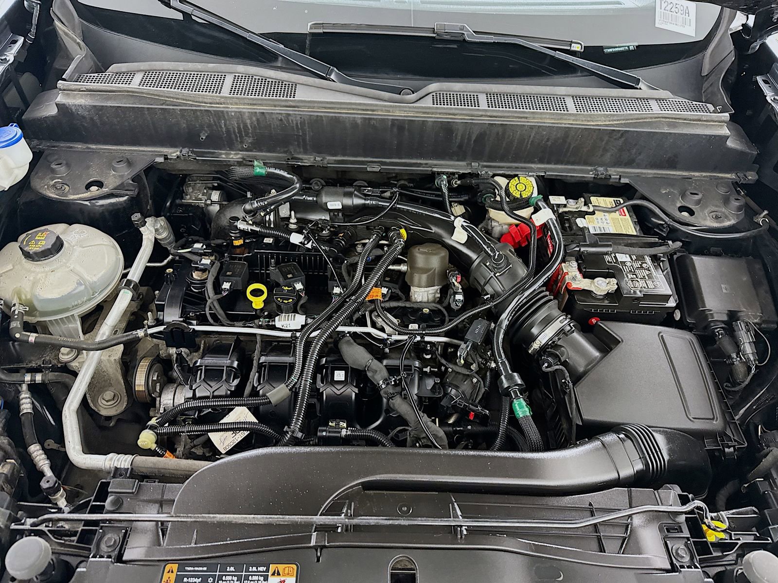 Used 2022 Ford Maverick XLT w/ Equipment Group 300A Standard image 10