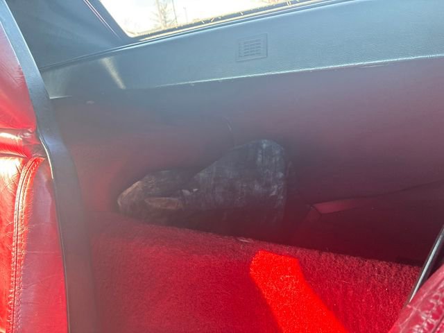 Used 1989 Chevrolet Corvette Convertible image 14