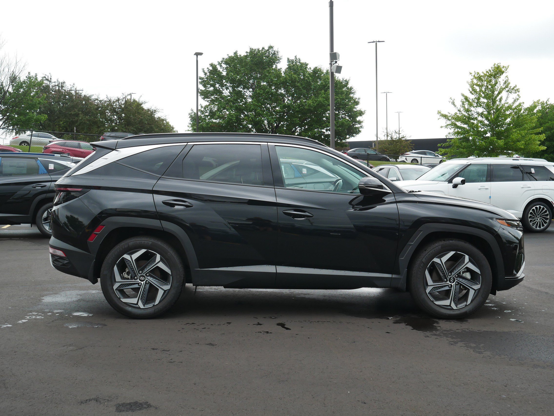 Used 2024 Hyundai Tucson Limited AWD/4WD image 5