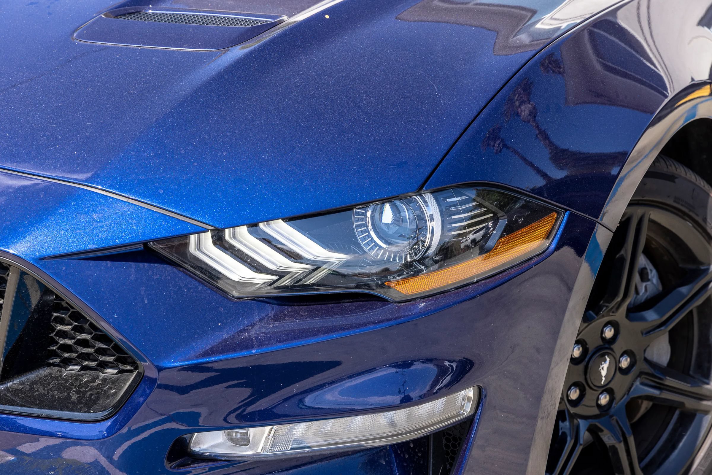 Used 2019 Ford Mustang GT Premium w/ Equipment Group 401A RWD image 8