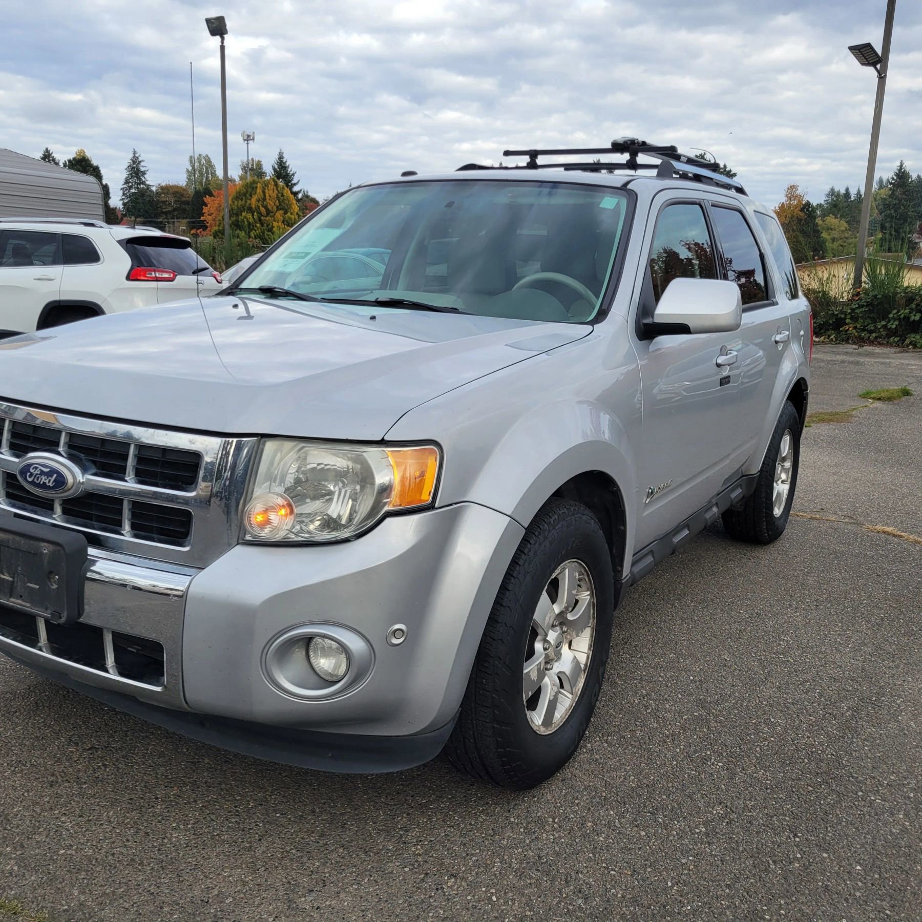 Used 2010 Ford Escape Limited image 1