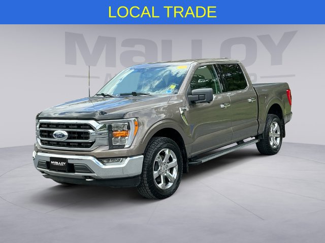 Used 2021 Ford F150 XLT w/ Equipment Group 302A High AWD/4WD image 1