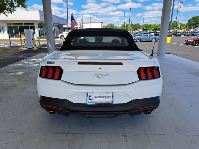 Used 2025 Ford Mustang Premium RWD image 5