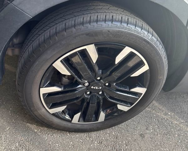 Certified 2024 Kia Telluride SX Prestige image 8