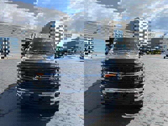 New 2024 Ford F150 XLT w/ Equipment Group 303A High image 6