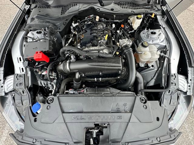 Used 2024 Ford Mustang Premium image 28