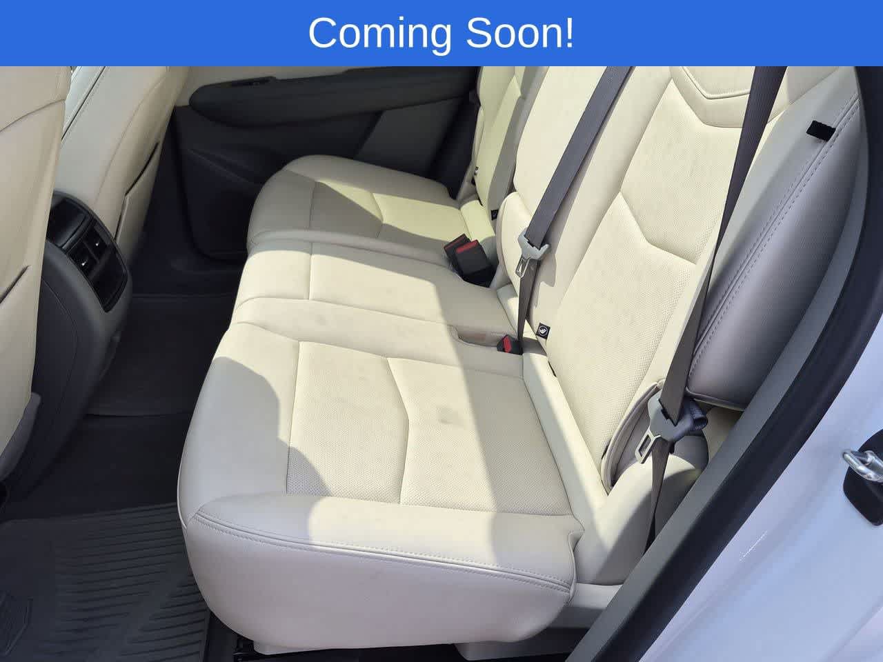 Used 2023 Cadillac XT5 Premium Luxury AWD/4WD image 20