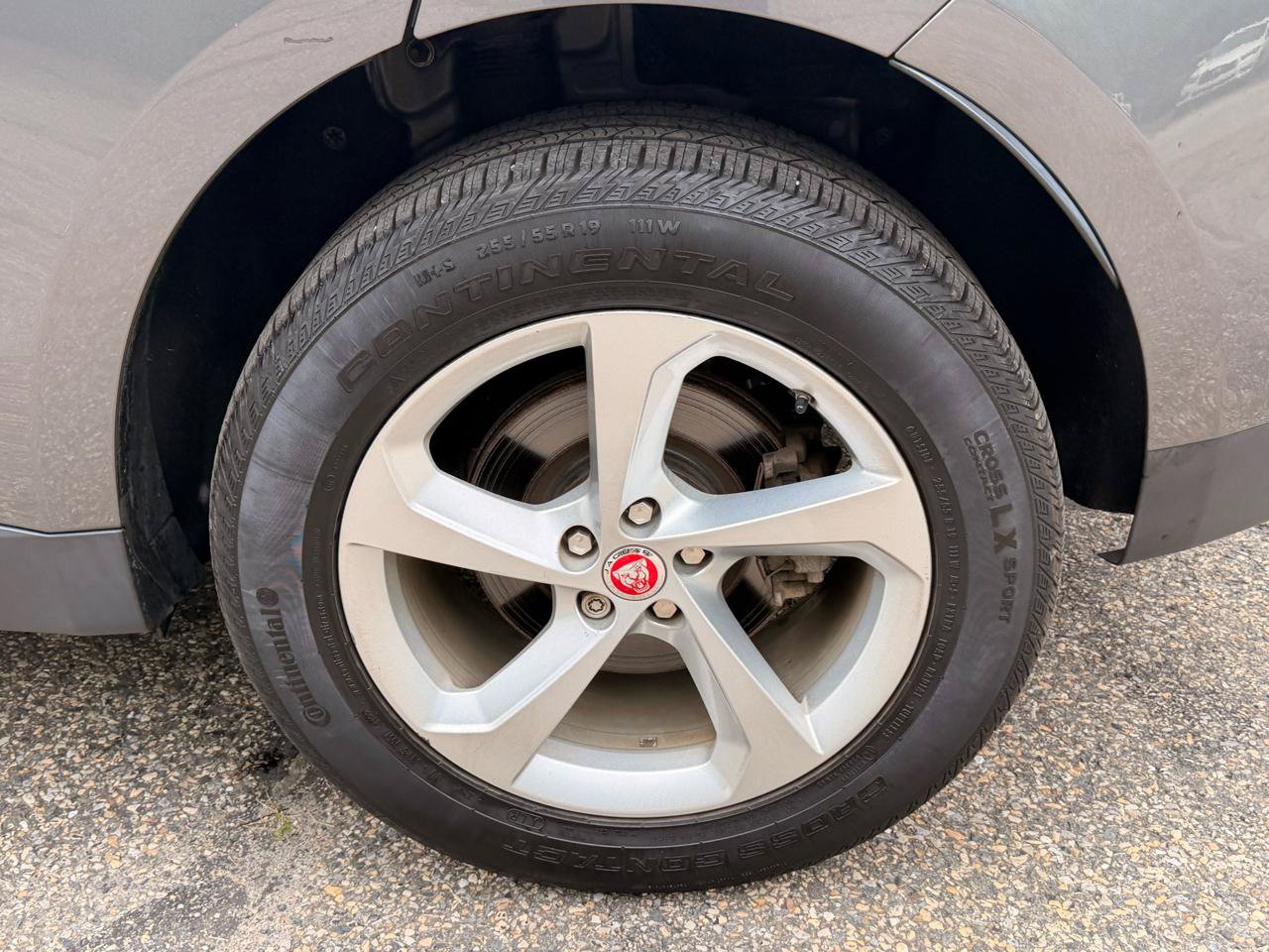 Used 2019 Jaguar F-PACE Premium AWD/4WD image 13