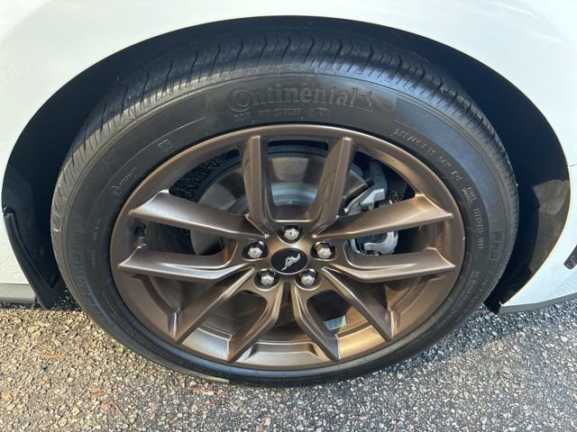 Used 2024 Ford Mustang Premium image 12