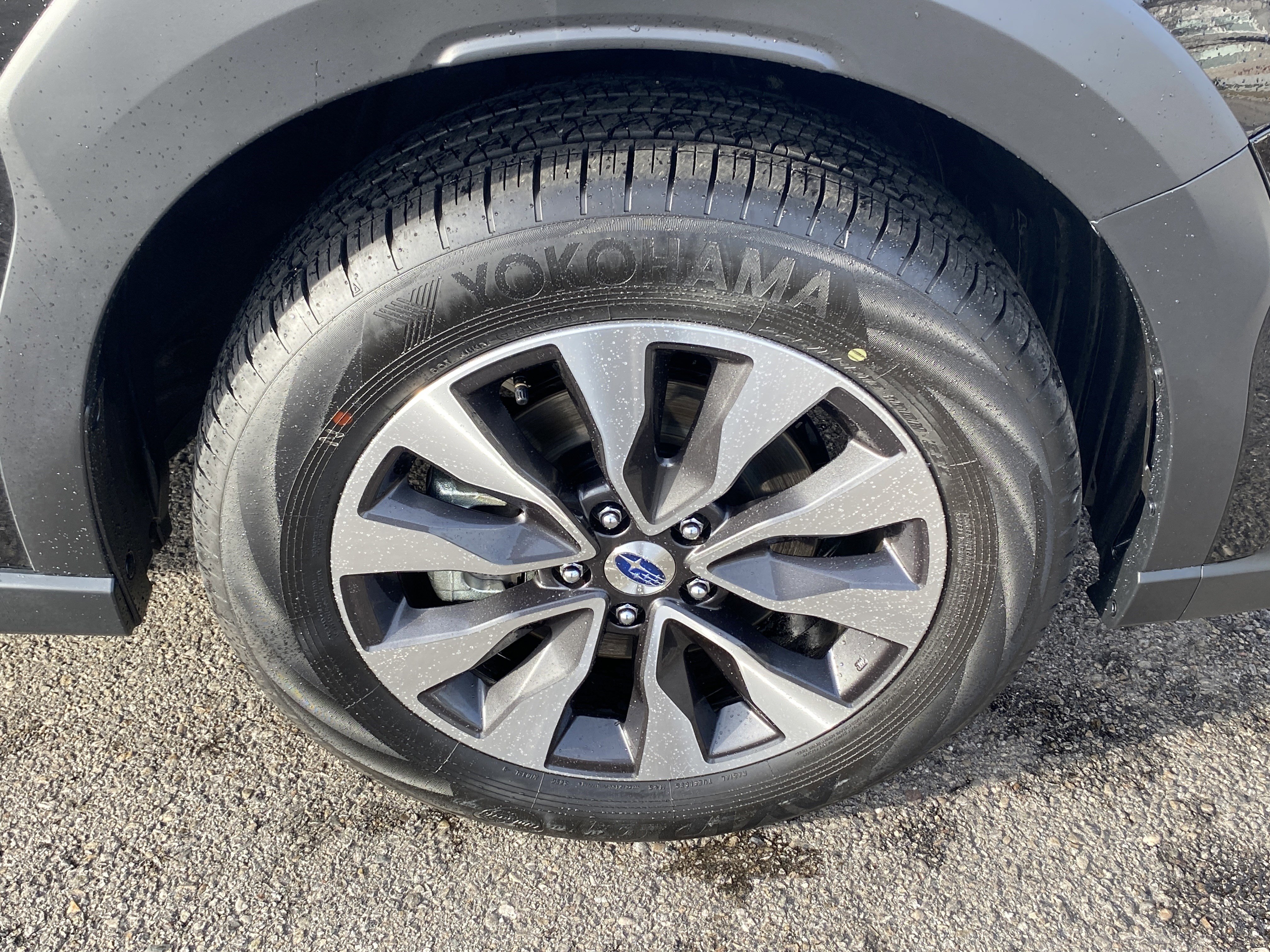 Used 2025 Subaru Outback Limited image 28