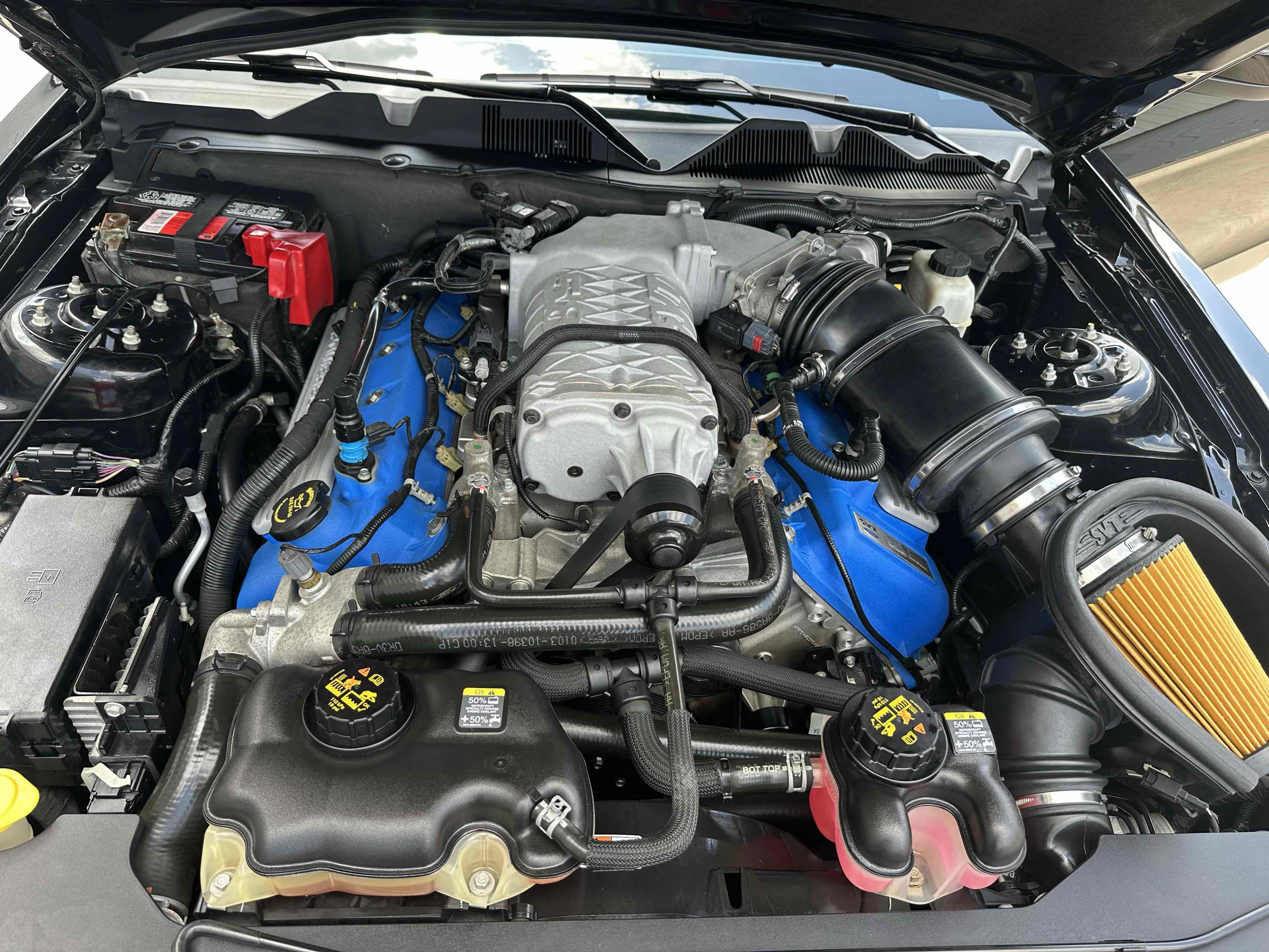 Used 2014 Ford Mustang Shelby GT500 w/ Equipment Group 821A RWD image 9