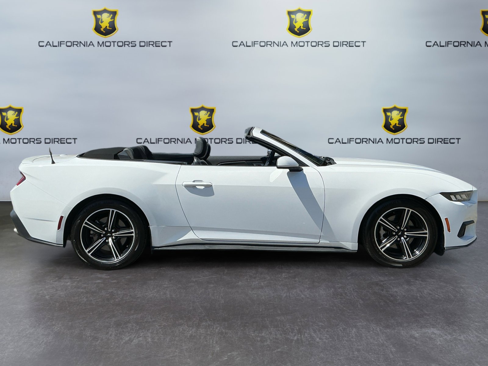 Used 2024 Ford Mustang Premium image 4