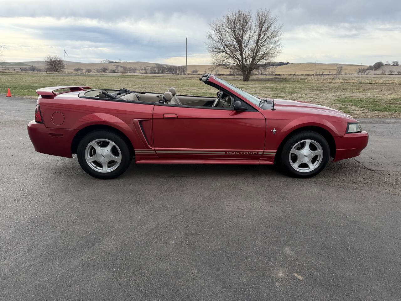 Used 2001 Ford Mustang Convertible image 4