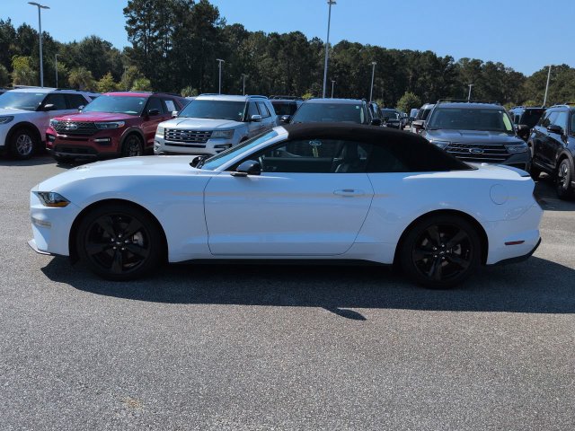 Used 2023 Ford Mustang Premium w/ Equipment Group 201A RWD image 7