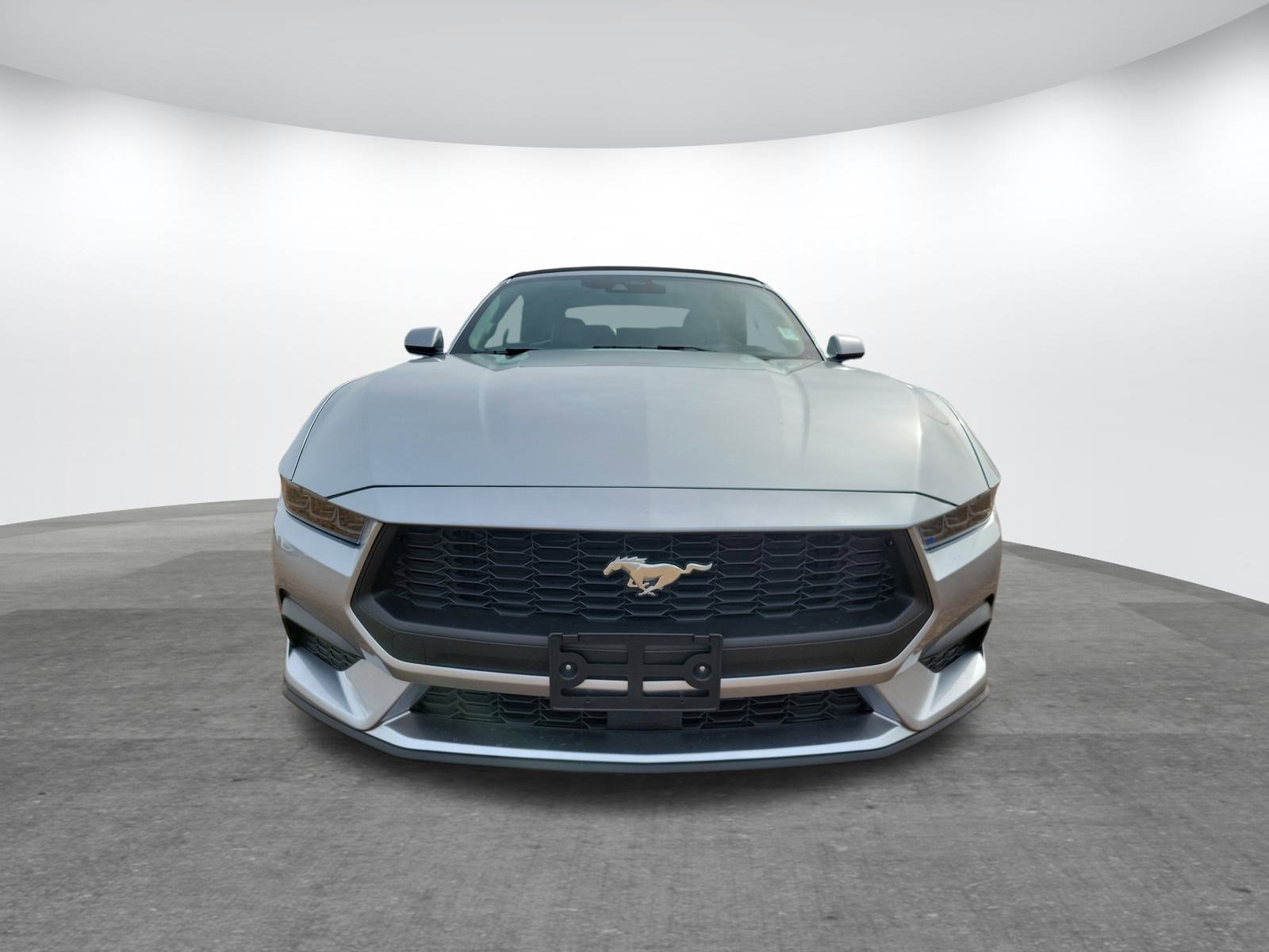 Used 2025 Ford Mustang Premium image 2